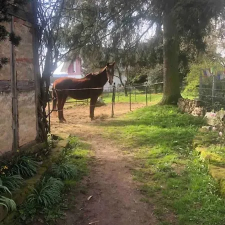Auf Einem Ehemaligen Bauernhof Neuhausen (Baden-Wurttemberg)