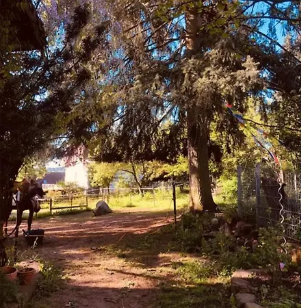 شقة Auf Einem Ehemaligen Bauernhof *