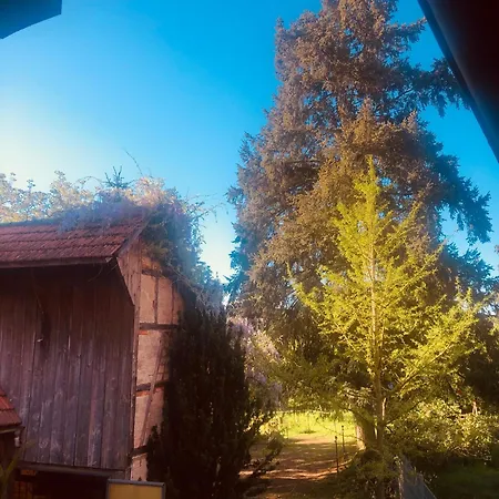 Auf Einem Ehemaligen Bauernhof דירה Neuhausen (Baden-Wurttemberg)