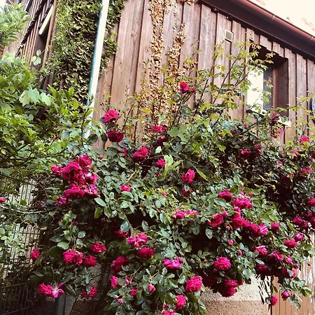 Auf Einem Ehemaligen Bauernhof شقة