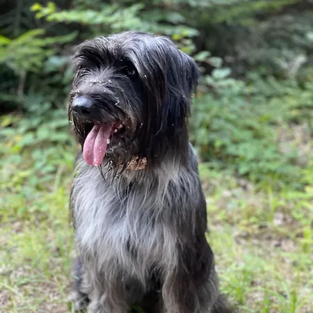 شقة Auf Einem Ehemaligen Bauernhof Neuhausen (Baden-Wurttemberg)